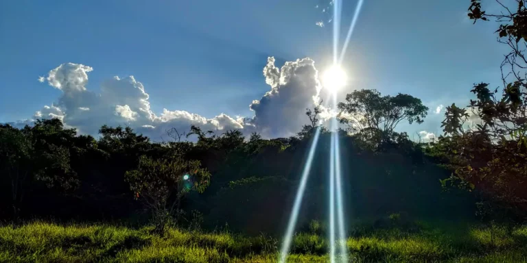 বিকেলের রোদ নিয়ে ক্যাপশন
